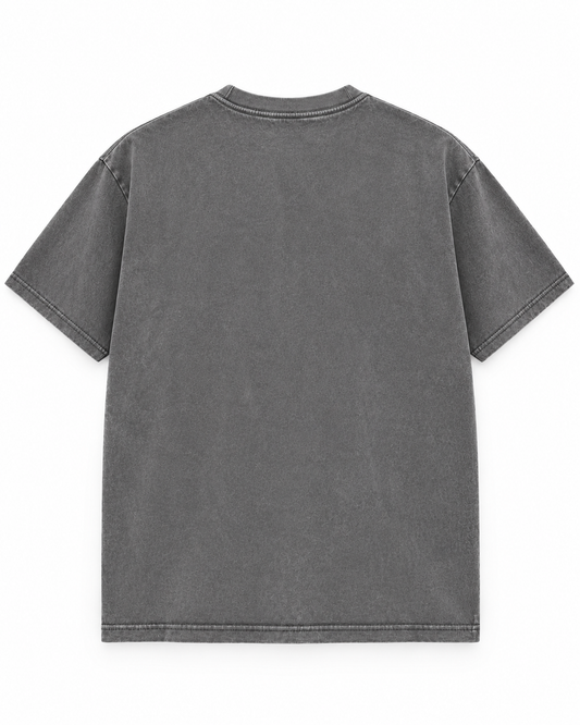 Dont Wake The Pumpkin Cat Tee  - Washed Grey