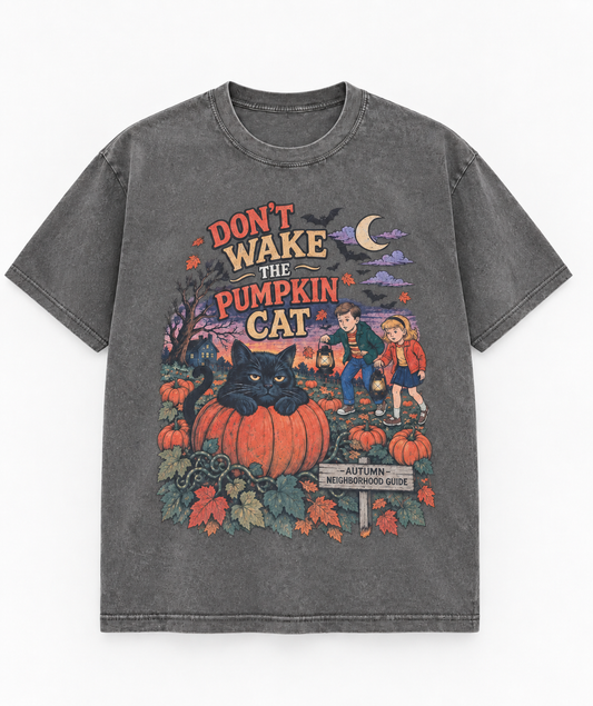 Dont Wake The Pumpkin Cat Tee  - Washed Grey